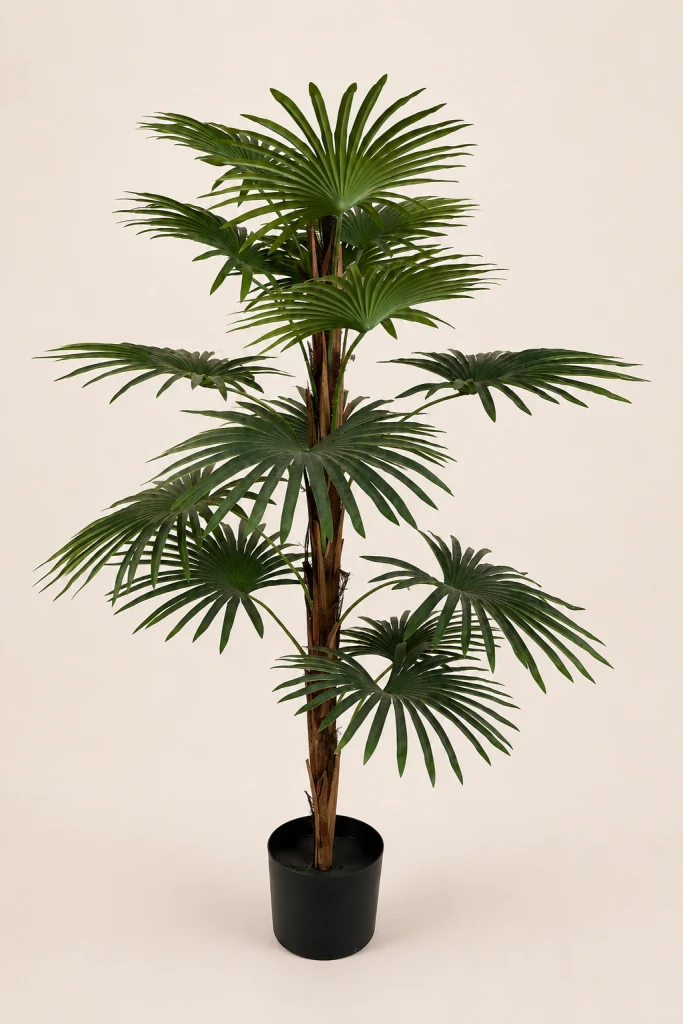 100cm Fan Palm, 15 Leaves, 20 Coconut Shells