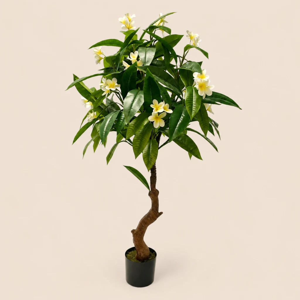 150cm White Plumeria with Yellow Centers, 13 Clusters