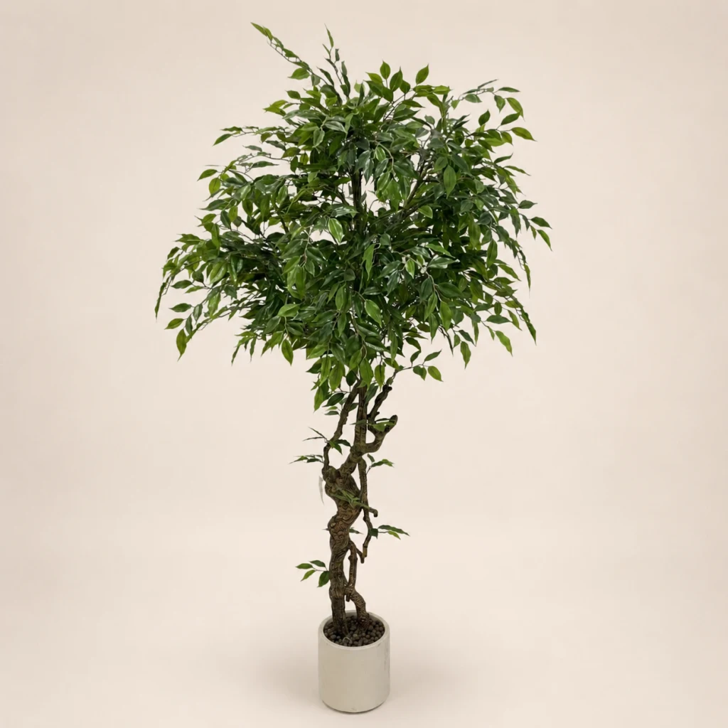 180cm Pointed-Leaf Ficus Tree, 30 Branches (1860-62-30)