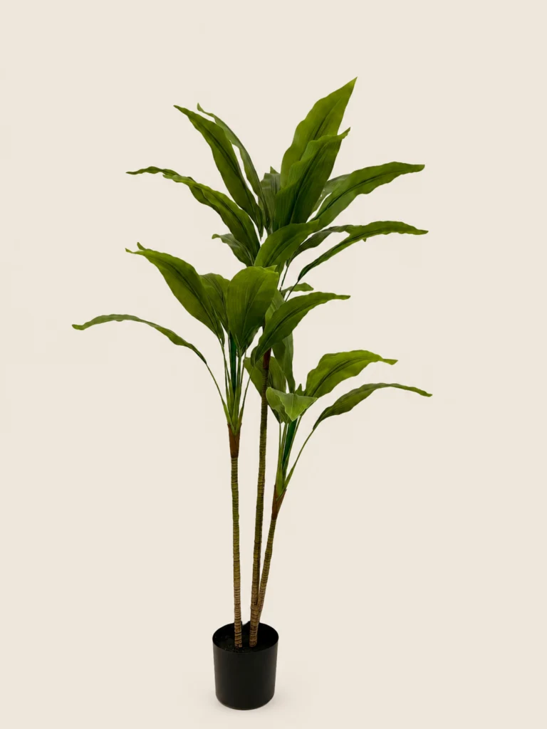150cm Dracaena, 2 Stems, 3 Heads, 30 Leaves (3 Detachable Heads)