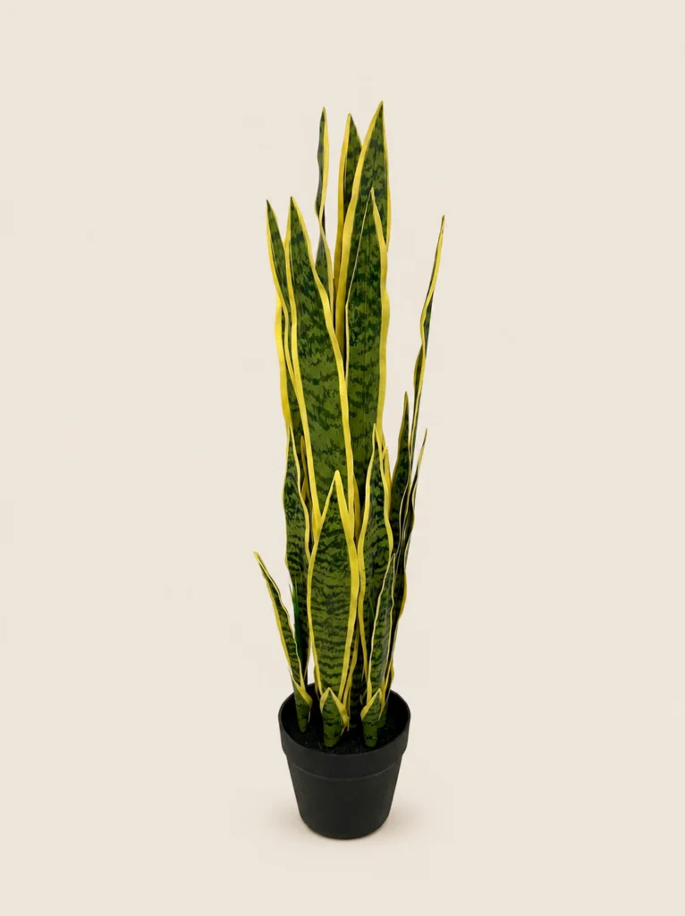 90cm Artificial Sansevieria Plant with Black Pot, 36 Leaves