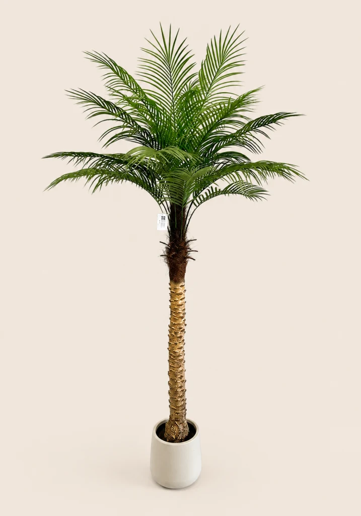180cm Plastic Pygmy Date Palm, 1 Stem, 18 Leaves