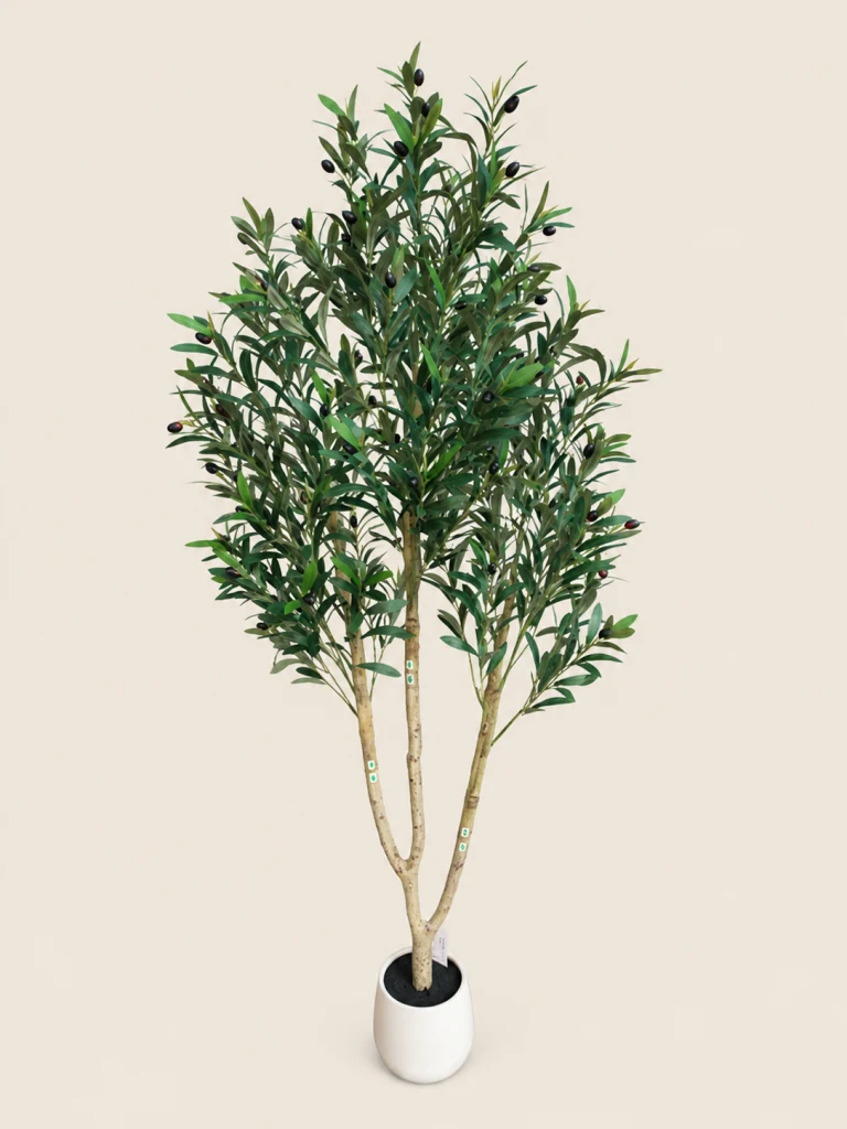 150cm Plant, 720 Leaves, 10 Branches, 40 Fruits