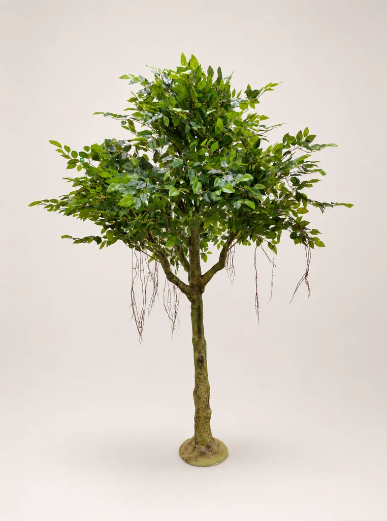 210cm Mini Green Ficus Tree with Branching Trunk, 60 Branches