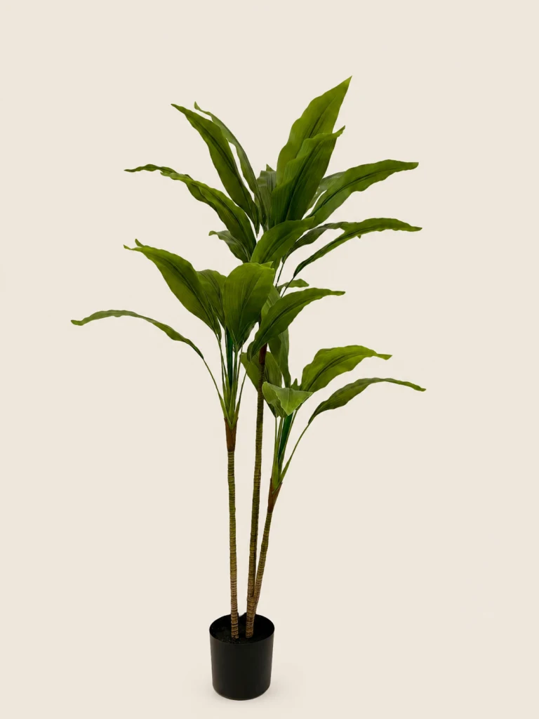 150cm Dracaena, 2 Stems, 3 Heads, 30 Leaves (3 Detachable Heads)