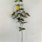 95cm Artificial Lemon Spray with 3 Fruits
