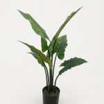90cm Rainbow Caladium, 6 Leaves