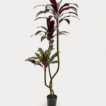160cm Velvet-Leaf Plant with Red Leaf Undersides, 3 Heads, 48 Leaves