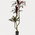 160cm Velvet-Leaf Plant with Red Leaf Undersides, 3 Heads, 48 Leaves