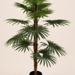100cm Fan Palm, 15 Leaves, 20 Coconut Shells