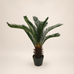 Cica de 70 cm, 12 hojas
