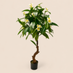 Plumeria blanca con centros amarillos de 150 cm, 13 racimos