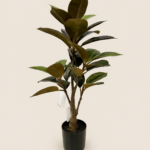70cm Rubber Tree, 29 Leaves