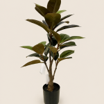 70cm Rubber Tree, 29 Leaves