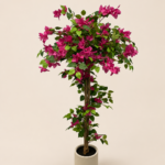 150cm Bougainvillea, 270 Flowers