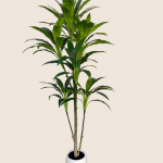 180cm Cordyline, 1 Stem, 7 Heads, 99 Leaves (Detachable)