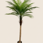 150cm Plastic Pygmy Date Palm, 1 Stem, 15 Leaves (Detachable)