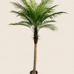 150cm Plastic Pygmy Date Palm, 1 Stem, 15 Leaves (Detachable)