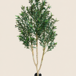 Planta de 150 cm, 720 hojas, 10 ramas y 40 frutos